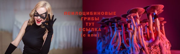 прущая мука Анива