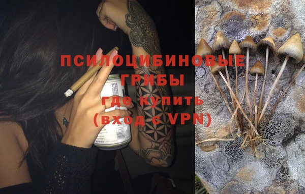 прущая мука Анива