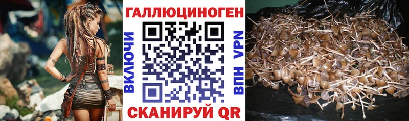 blacksprut ONION  Инза  Псилоцибиновые грибы MAGIC MUSHROOMS 